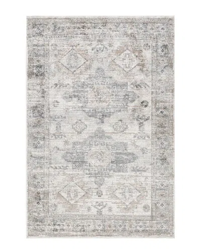 Nuloom Nera Vintage Medallion Rug In Gray