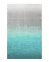 Nuloom Ombre Shag Hand-tufted Rug