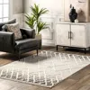 Shop Nuloom Poppy Moroccan Ombre High/low Tasseled Area Rug