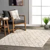 Nuloom Ria Bohemian Diamond Area Rug