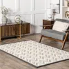 Nuloom Rozi Chevron Wool And Sisal Area Rug