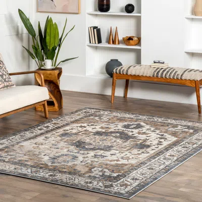 Nuloom Sian Persian Vintage Medallion Area Rug In Gray
