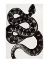 Nuloom Thomas Paul Power Loomed Serpent Rectangular Rug In Multi