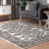 Nuloom Transitional Medallion Tamar Area Rug