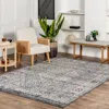 Nuloom Vintage Medallion Doris Area Rug
