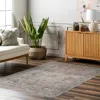 Nuloom Xenia Faded Transitional Spill Proof Machine Washable Area Rug