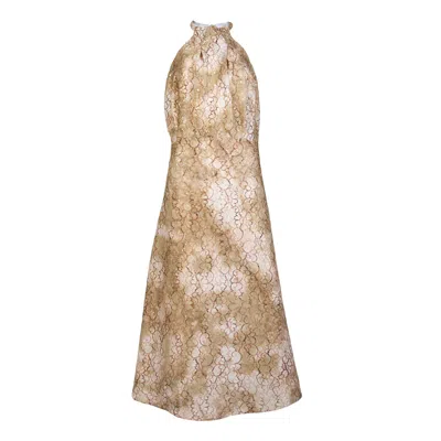 Numbat Women's Esme Champagne Gold Lace Maxi Dress