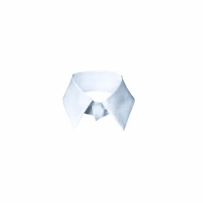 Numbat Women's Removable Collar - White