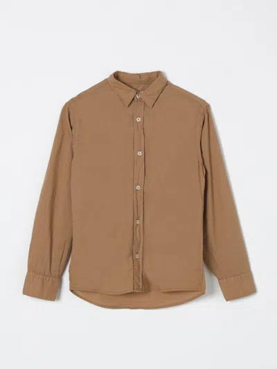 Nupkeet Shirt  Kids Color Brown