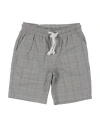 Nupkeet Toddler Boy Shorts & Bermuda Shorts Grey Size 6 Cotton, Elastane In Grey