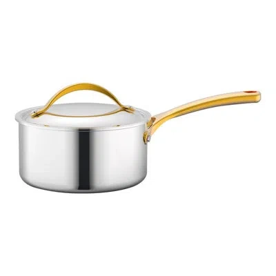 Nutrichef Saucepan With Lid -stainless Steel, Works With Model Number: Ncsts16 In Silver