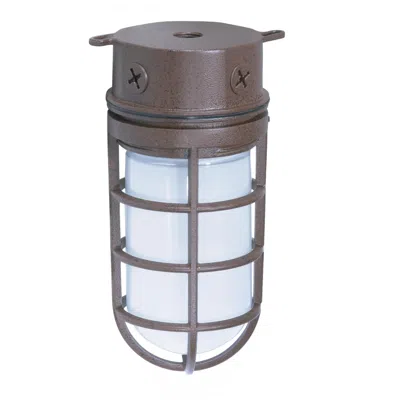 Nuvo Lighting 1 Light - 10" - Industrial Style - Surface Mount With Frosted Glass