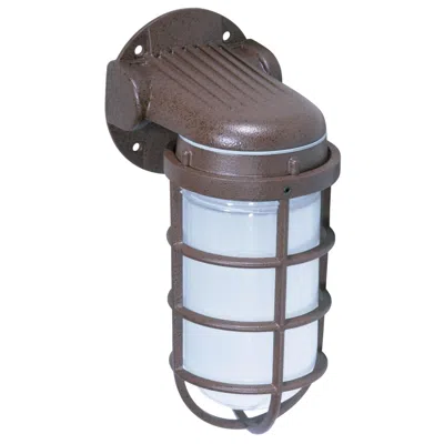 Nuvo Lighting 1 Light - 10" - Industrial Style - Wall Mount With Frosted Glass