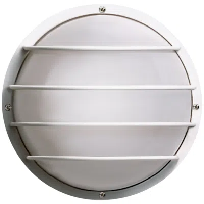 Nuvo Lighting 1 Light - 10" - Round Cage Wall Fixture - Polysynthetic Body & Len