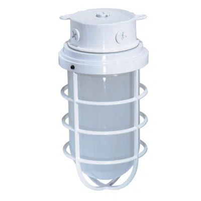 Nuvo Lighting 1 Light - 11" - Industrial Style - Surface Mount With Frosted Glass