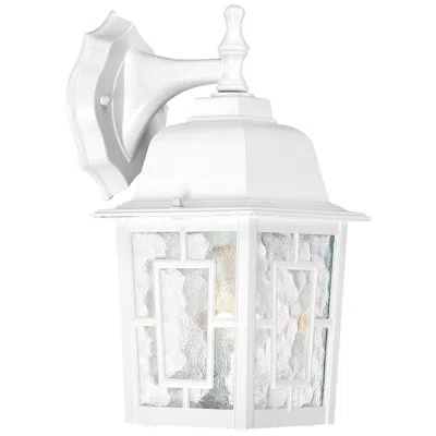 Nuvo Lighting Banyan - 1 Light - 12 In. - Outdoor Wall With Clear Water Glass