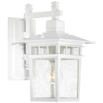 Nuvo Lighting Cove Neck - 1 Light - 12 In. - Outdoor Lantern With Clear Seed Glass