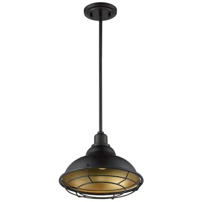 Nuvo Lighting Newbridge; 1 Light; Large Pendant; Dark Bronze Finish W/ Gold Accents