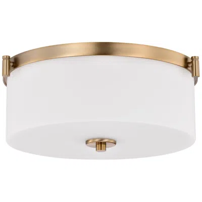 Nuvo Lighting Nuvo Liam 16 1/2" Wide Brushed Brass 3 Light Flush Mount