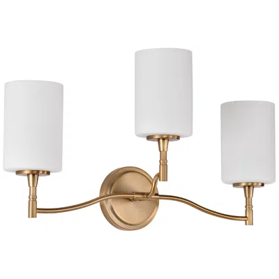 Nuvo Lighting Nuvo Liam 22" Wide Burnished Brass 3 Light Vanity