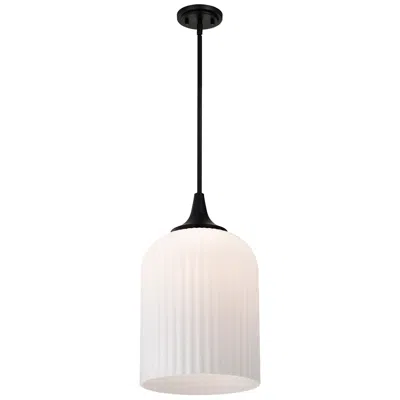 Nuvo Lighting Nuvo Solara 12" Wide Matte Black Pendant