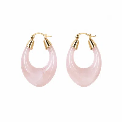 Nuvv Collection Women's Pink Blush Resin Hoop Earrings With Gold Detail
