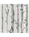 Nuwallpaper Birch Tree Peel & Stick Wallpaper In Multicolor