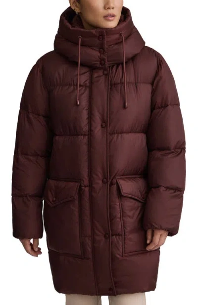 Nvlt Cire Wonder Puffer Coat In Burgundy