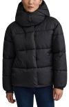 Nvlt Cire Wonder Puffer Jacket With Removable Hood In Black