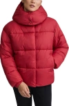 Nvlt Cire Wonder Puffer Jacket With Removable Hood In Red