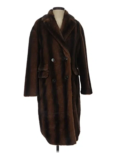 Nvlt Coat In Brown