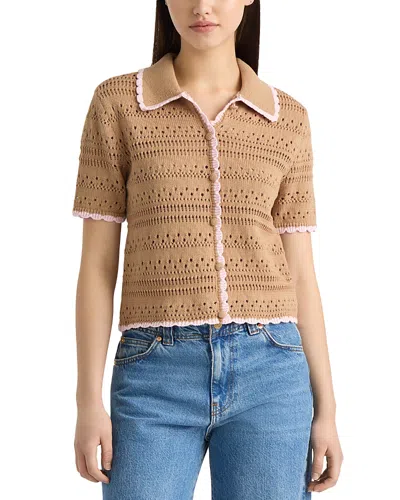 Nvlt Collared Cardigan Sweater In Brown
