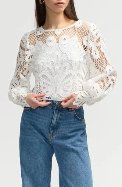 Nvlt Long Sleeve Lace Top In White