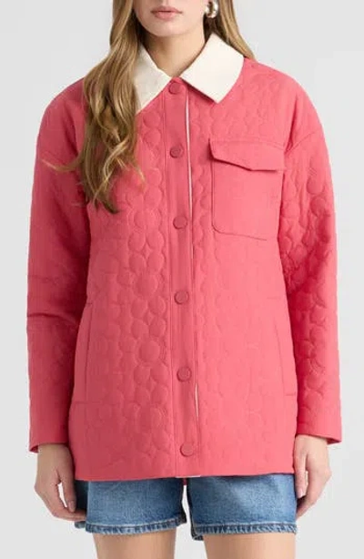 Nvlt Quilted Shacket In Pink