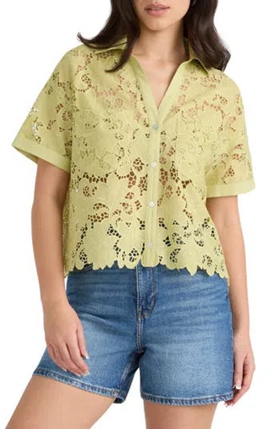 Nvlt Sheer Cotton Lace Camp Shirt In Green