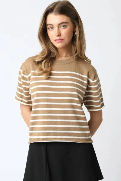 Nyland Raylene Sweater Tee In Mocha Cream In Multi