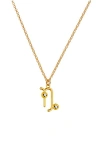 Oak & Luna Give Me A Sign Zodiac Name Necklace In Gold