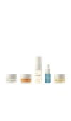 Oak Essentials Mini Routine In White
