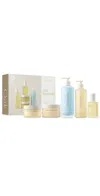 Oak Essentials The Body Routine No Color