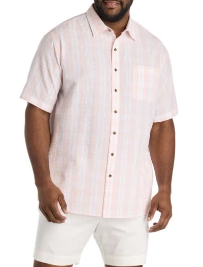 Oak Hill By Dxl Big & Tall  Seersucker Plaid Sport Shirt In Pink