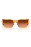 Oakley Masseter Sunglasses In Light Curry/brown
