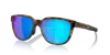Oakley Actuator Oo9250 925004 In Brown