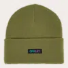 Oakley B1b Gradient Patch Beanie In Fern