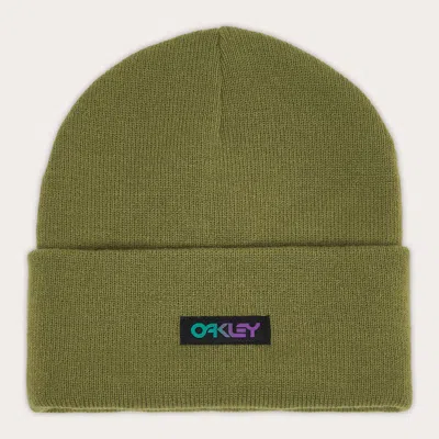 Oakley B1b Gradient Patch Beanie In Fern