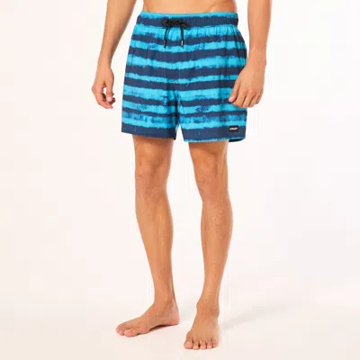Oakley Blur Stripes Rc 16 Beachshort In Red,blue