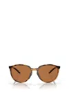 Oakley Eyewear In Polished Brown Tortoise