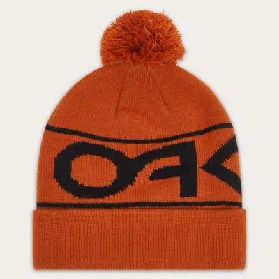 Oakley Factory Cuff Beanie In Ginger
