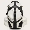 Oakley Icon Rc Backpack In Mist
