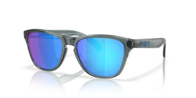 Oakley Frogskins™ S Sunglasses In Gray