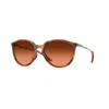 Oakley Sielo Sunglasses In Brown